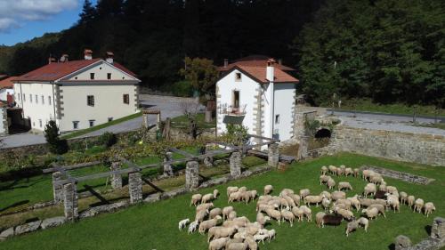 Matavun House | Hiška Kovačija
