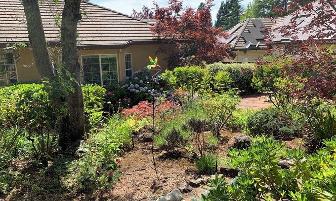 Cameron Park House | High-end exclusive quiet Eastwood Park neighborhood in beautiful Cameron Park