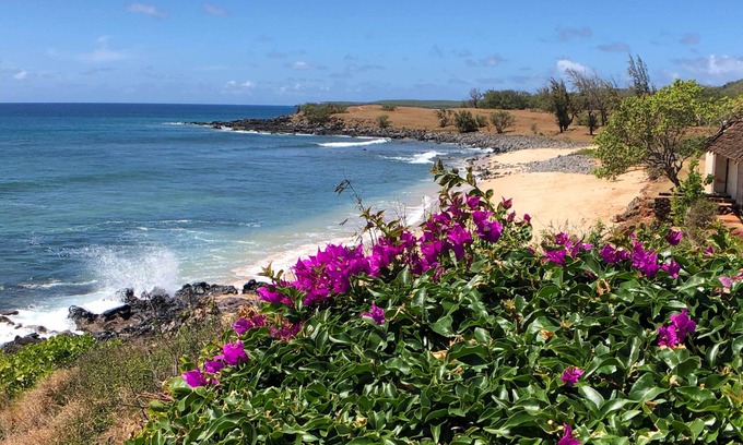 Ualapue Apartment | High-end Resort Condo Nestled on Molokai Shoreline