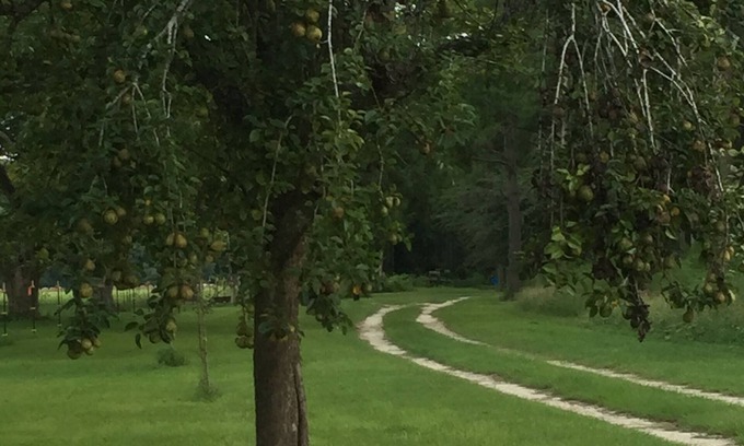 Bristol House | HISTORICAL STAGECOACH RD, LOBLOLLY FOREST FARM STAY NEAR LITTLE SATILLA RIVER