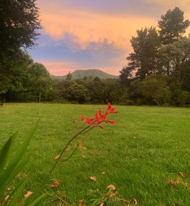 Hogsback House | Hogsview