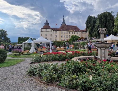Langenburg Apartment | Hohenlohe -Residenz-Svetlana