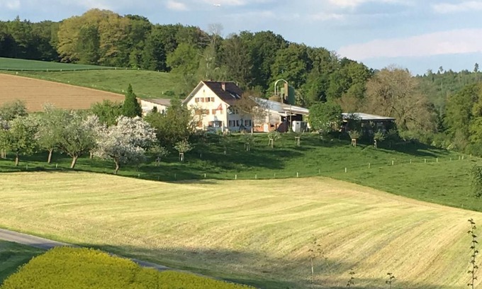 Schneisingen Other | Holiday apartment Schneisingen for 1 - 4 persons with 2 bedrooms - Farmhouse