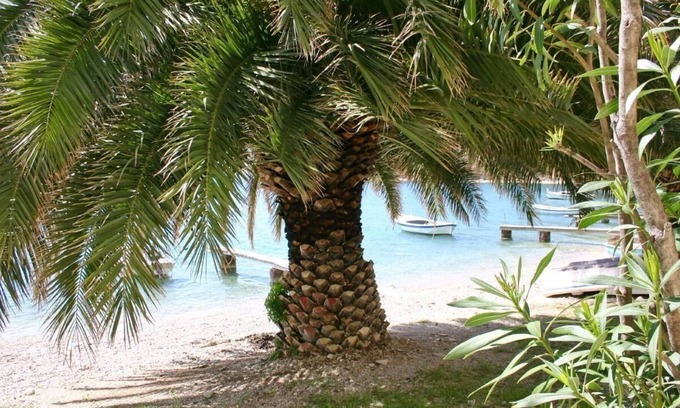 Stanici Apartment | Holiday apartment Stanići for 1 - 10 persons with 4 bedrooms - Holiday apartment