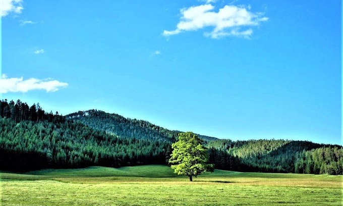 Schwarzau im Gebirge House | Holiday house Höblinghof