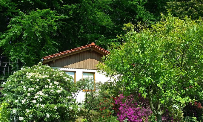 Steina House | Holiday Home by the Forest with South-Facing View