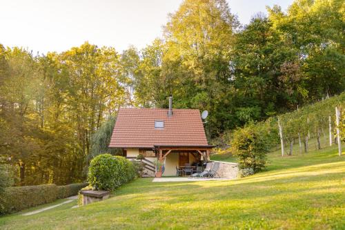 Cerklje ob Krki House | Holiday Home Emaj with Sauna