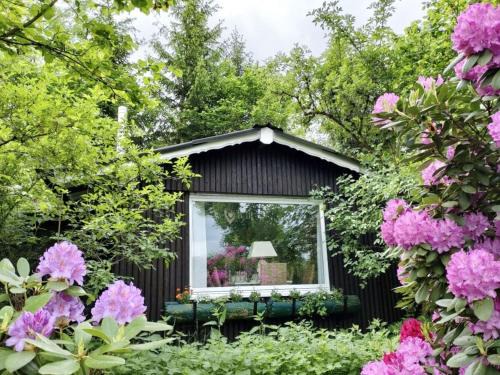 Biedenkopf Apartment | Holiday home fairytale hut