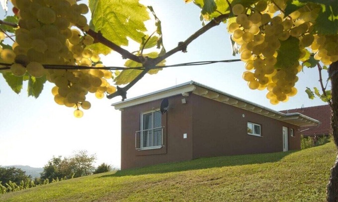 Johnsdorf-Brunn House | Holiday home in the vineyard Das Nussberg