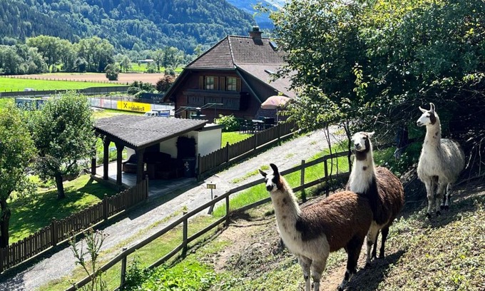 Niederwolz House | Holiday Home Lama by Interhome