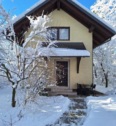 Kranj House | Holiday Home Lemut