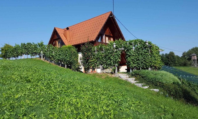 Novo Mesto House | Holiday home on vineyard