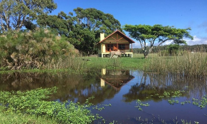 La Paloma House | Holiday house La Paloma for 1 - 4 persons with 2 bedrooms - Holiday home