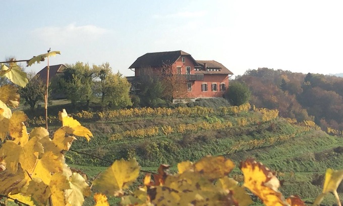 Videm House | Holiday house Ptuj for 1 - 12 persons with 4 bedrooms - Holiday house