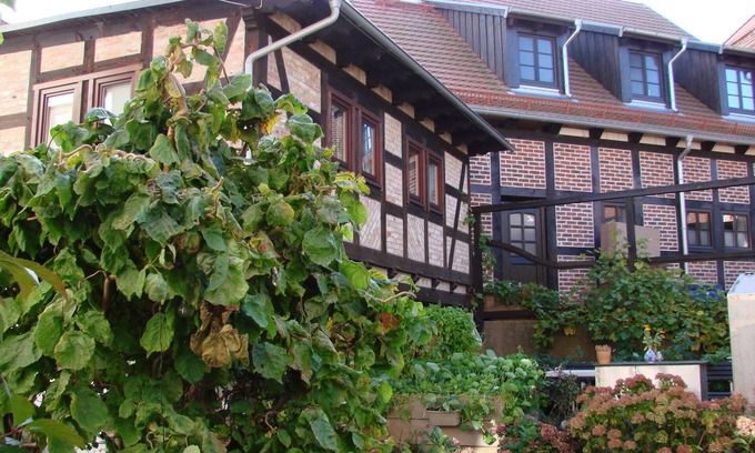Wolgast Apartment | Holiday house Sontag - Holiday house