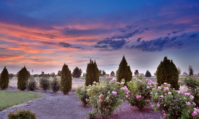 Nampa Hotel | Holiday Inn Express & Suites Nampa - Idaho Center by IHG