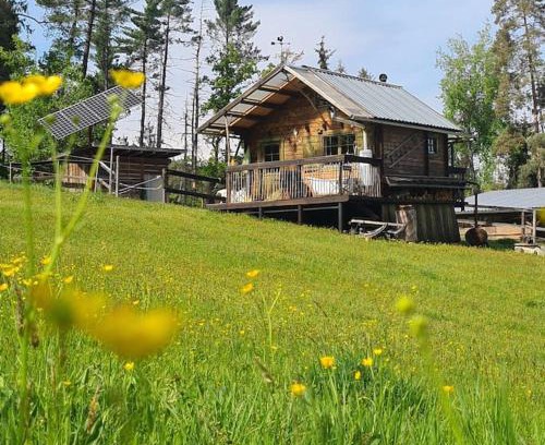 Saldenburg House | Holzhütte allein am Waldrand