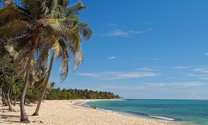 Capesterre-de-Marie-Galante Apartment | Homerez - Studio, Capesterre-de-Marie-Galante