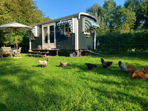 Koudekerke House | Home Bij Zee