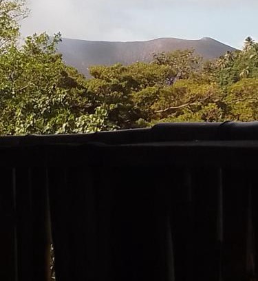 Santo Bed & Breakfast | Home stay tree house