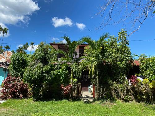 Waena House | Homestay Galpera Papua
