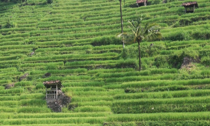 Imogiri House | HOMESTAY MBAH POMO SRIHARJO