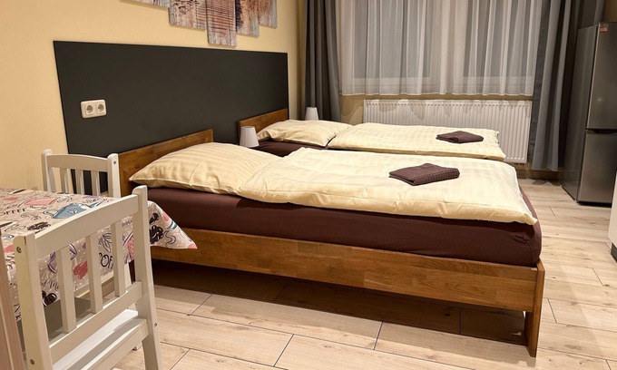 Neuhaus-Schierschnitz Apartment | Hostelzimmer 202 - Aparthotel Rotheul
