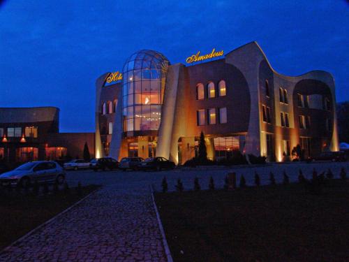 Wodzislaw Slaski Hotel | Hotel Amadeus