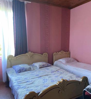 Zugdidi Apartment | Hotel Anri