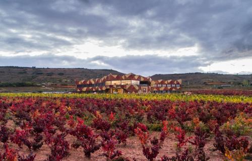 Navarrete Hotel | Hotel Bodega FyA - GRUPO PIÉROLA