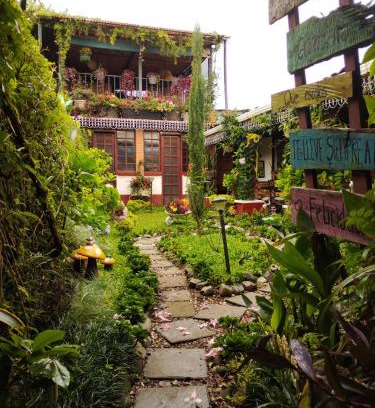 Coban Hotel | Hotel Casa Chapultepec