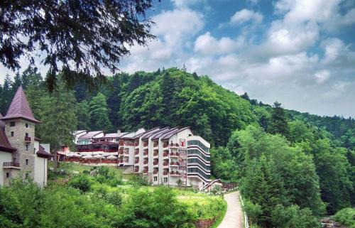 Slanic-Moldova Hotel | Hotel Dobru