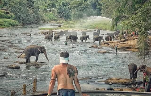 Pinnawala Hotel | Hotel Elephant Bay