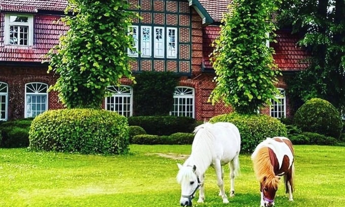 Gross Wittensee Hotel | Hotel Hof Kirchhorst