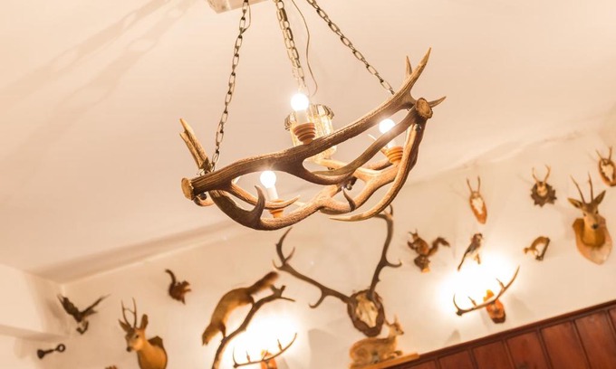 Repen Hotel | Hotel Krizman