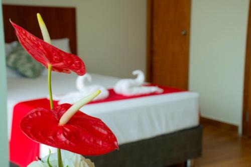 Tarapoto Hotel | HOTEL LA PALMERA DE ORO
