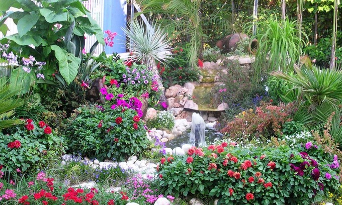 Sabaudia Hotel | Hotel Le Palme