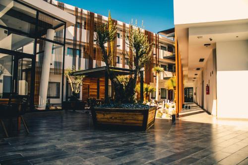 Matehuala Hotel | HOTEL MINA REAL MATEHUALA