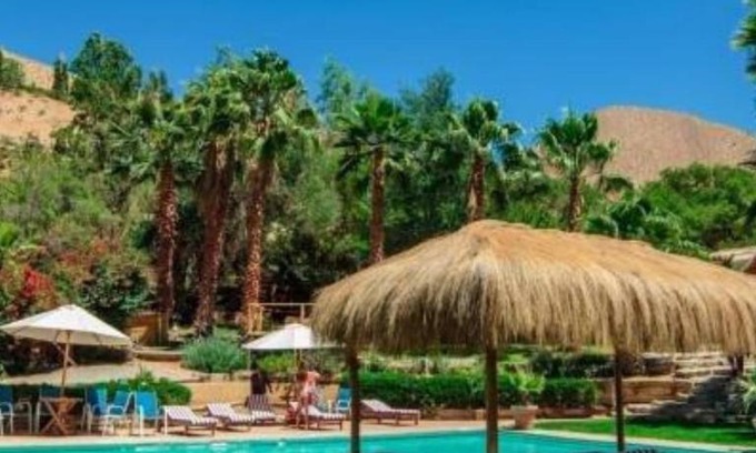 Pisco Elqui Bed & Breakfast | Hotel Misterios del Elqui