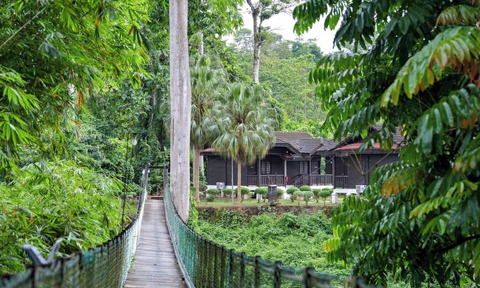 Kuala Tahan Hotel | Hotel O Asiacamp Resort National Park Kuala Tahan
