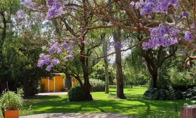Teotihuacan Hotel | Hotel Rancho San Juan Teotihuacan