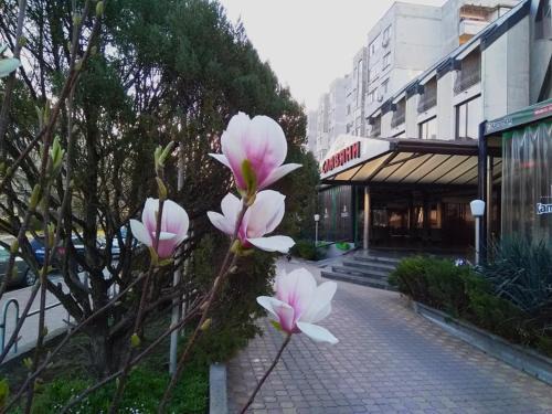 Dimitrovgrad Hotel | Hotel Slaviani