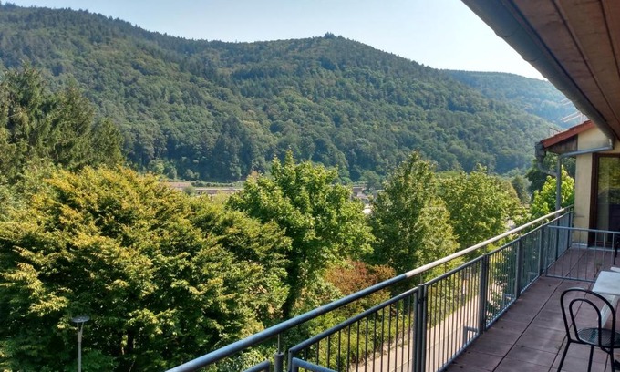 Schlierbach Hotel | Hotel zum Neckartal Heidelberg