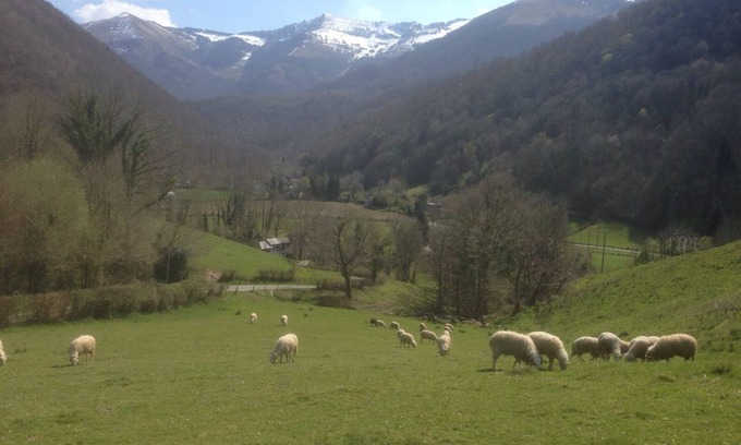 Louvie Juzon House | HOUSE OF CHARACTER ENTIRELY RESTORED ANY COMFORT (wifi) IN THE BEARN
