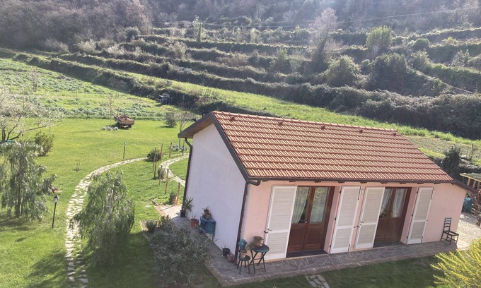 Albenga House | House of Roses