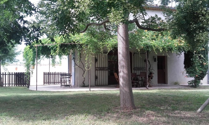 Le Cailar House | House & pool near beach, Nîmes and Montpellier