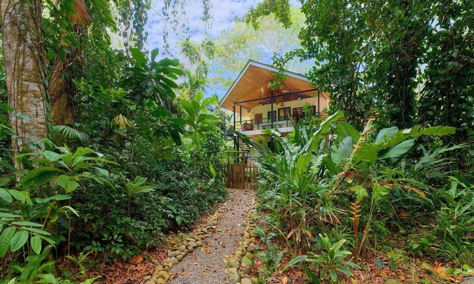 Punta Uva Villa | Howler Beach Front Villa Pure Luxury located just steps away from the beach!