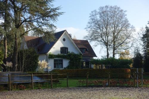 Joure House | Huisje Bommelstein