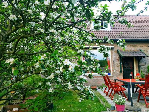 Overdinkel Bed & Breakfast | Huisjeaandedinkel