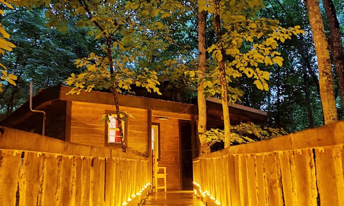 Monteagle Cabin | Hummingbird Treehouse Getaway w/Hot Tub & Firepit